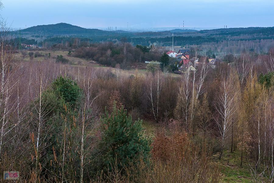 Widok w kierunku Częstochowy ze wzgórza w Kusiętach
