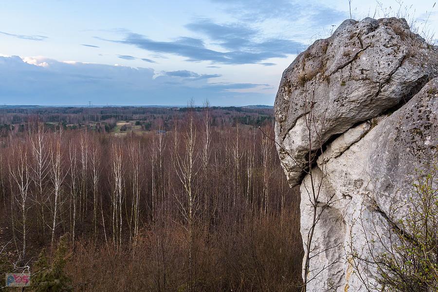 Widok w kierunku północnym ze wzgórza w Kusiętach