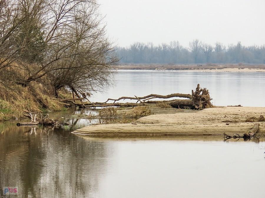 Rezerwat przyrody Wyspy Świderskie