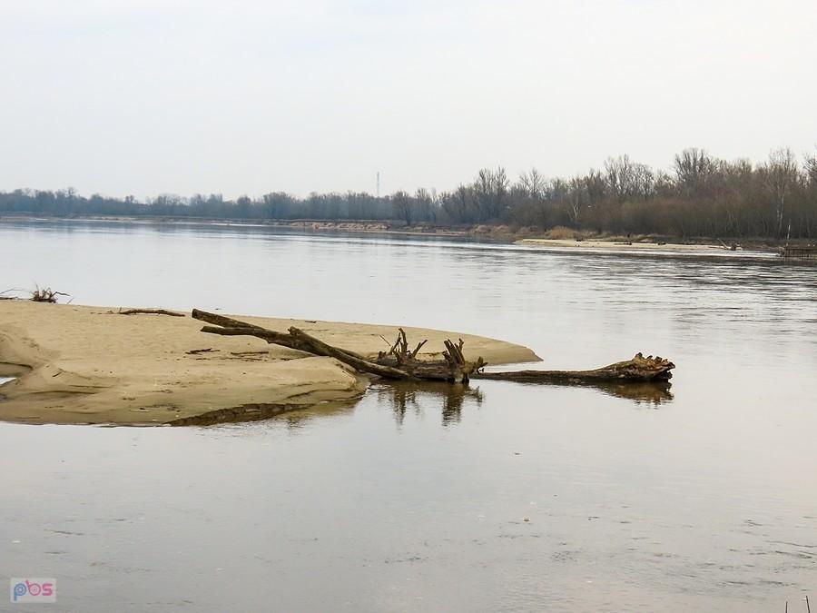 Przyroda zamiast flisaków spławia drzewa