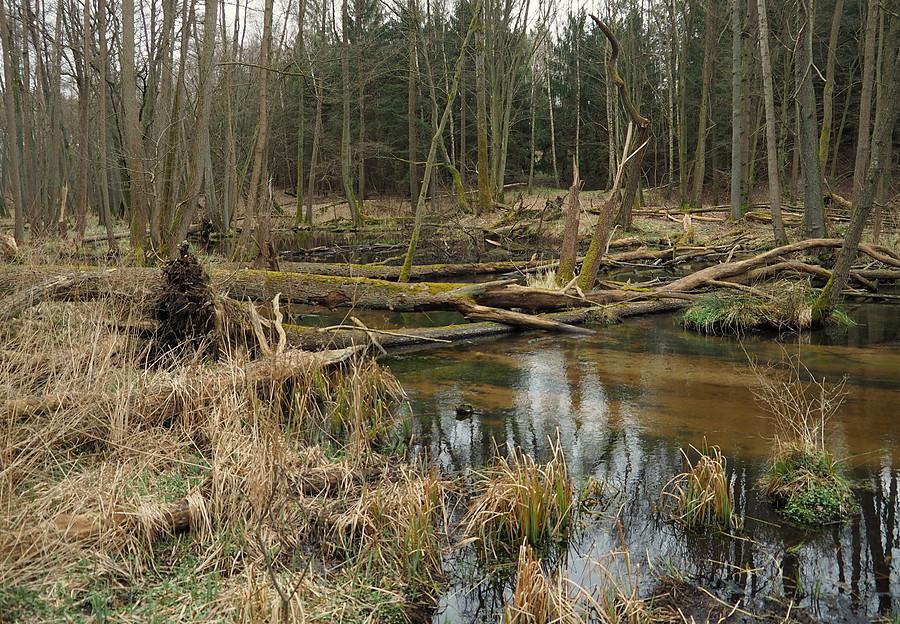 Wałdowice , Lubniewka