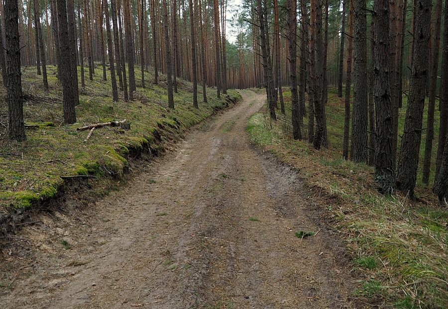 Drogi pożarowe pod Glinikiem