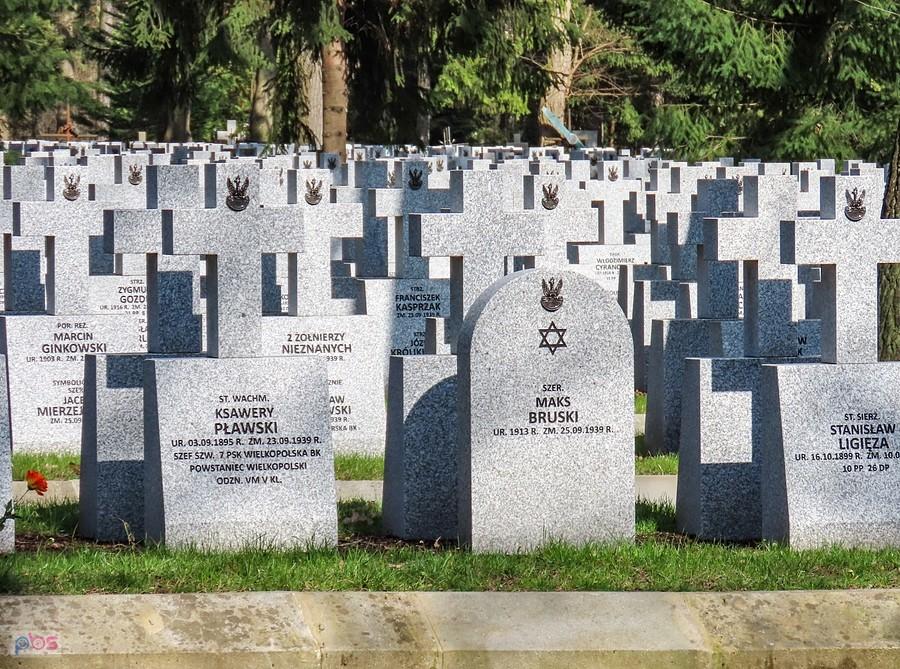 Żołnierze kampanii wrześniowej