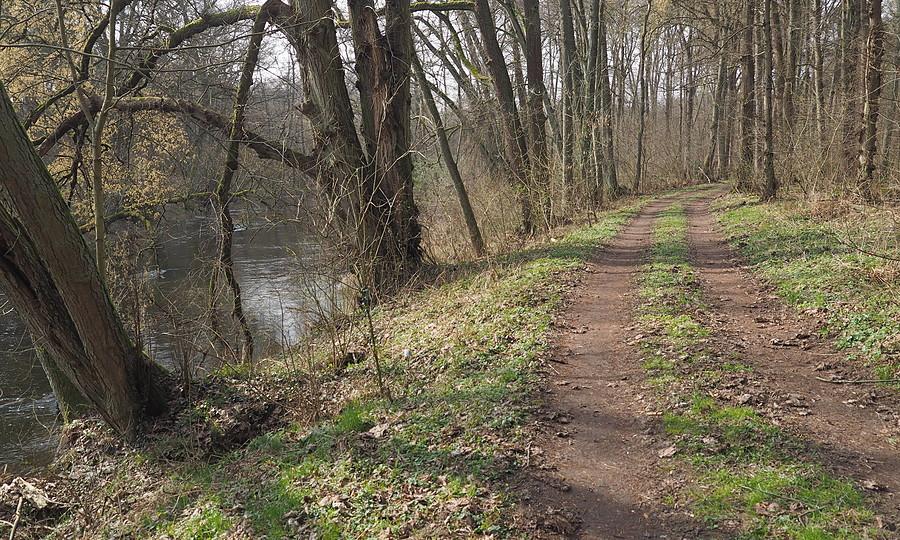 Droga nad Obrą