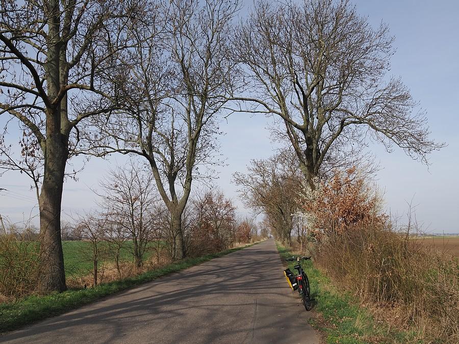 Droga Słubice - Pamięcin