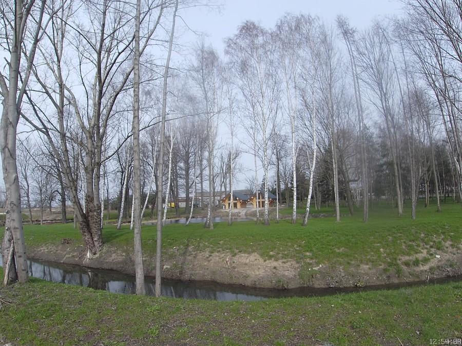 Dawidy zalążek kampingu?