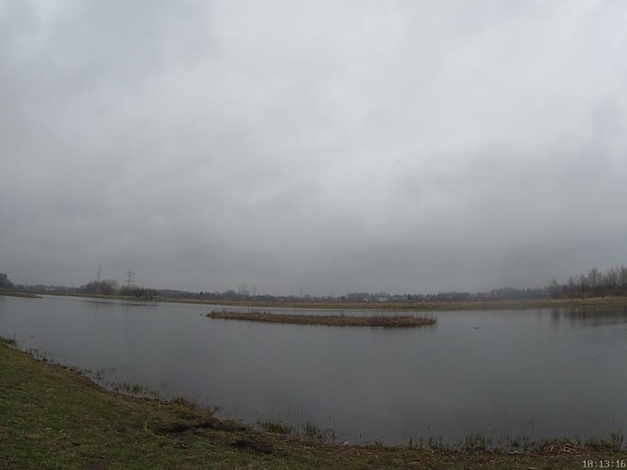 Staw w Michałowicach