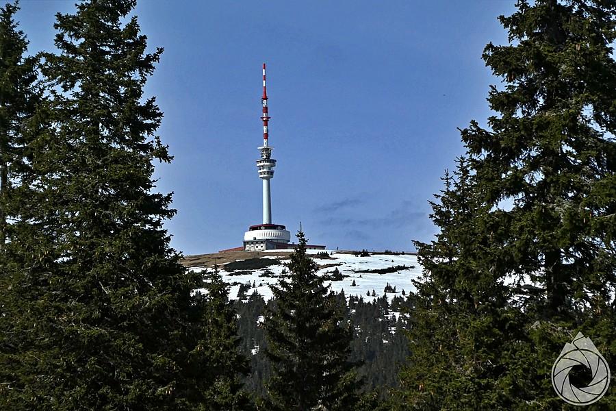 Praděd podśnieżony
