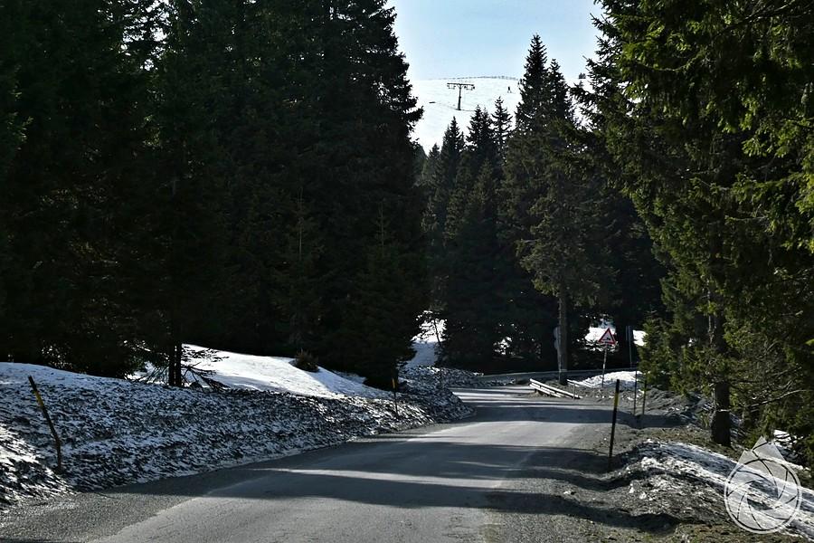 śniegi na 1000+ na Pradědzie