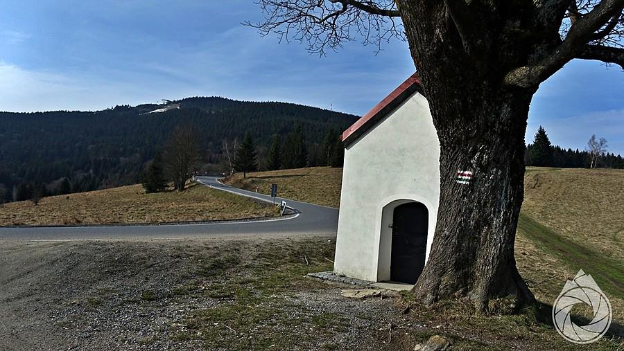 Puchaczówka nie tak znów rano