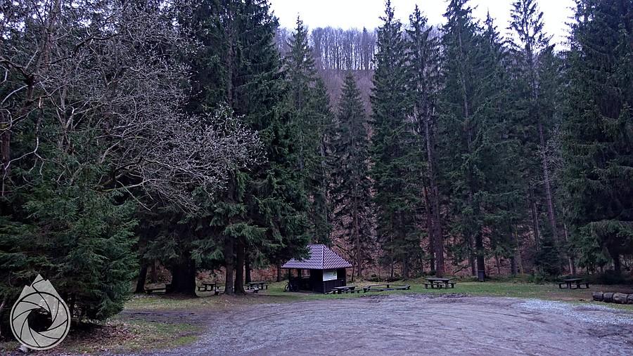 pod Czyżówką z rana