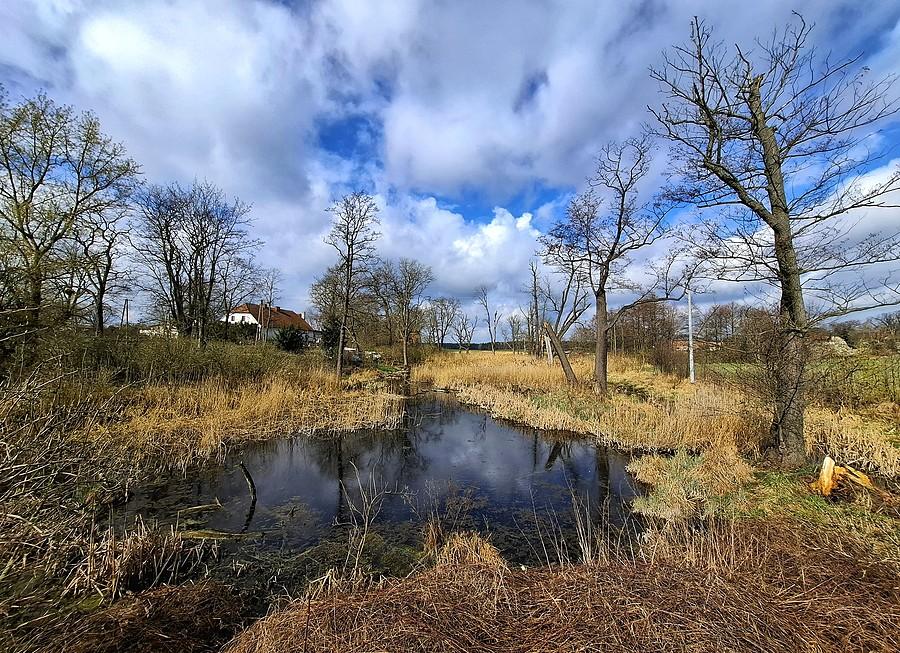 Trzcielińskie bagno