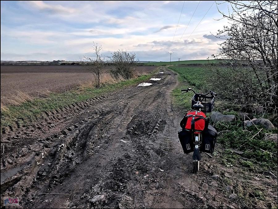 W stronę Tyńca nad Ślęzą