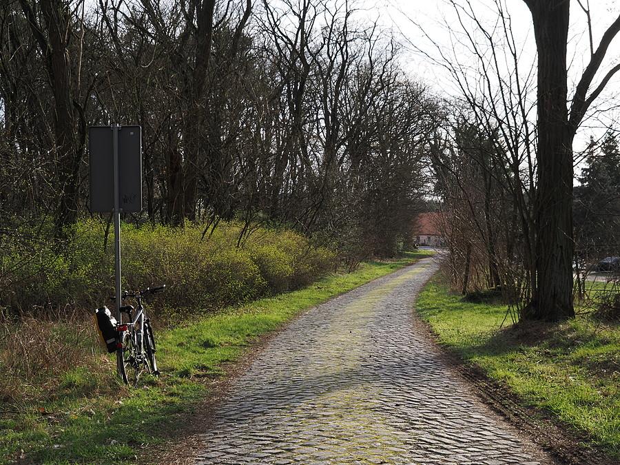 Końcówka Drogi Lubowskiej, brukowy zjazd do Rzepina