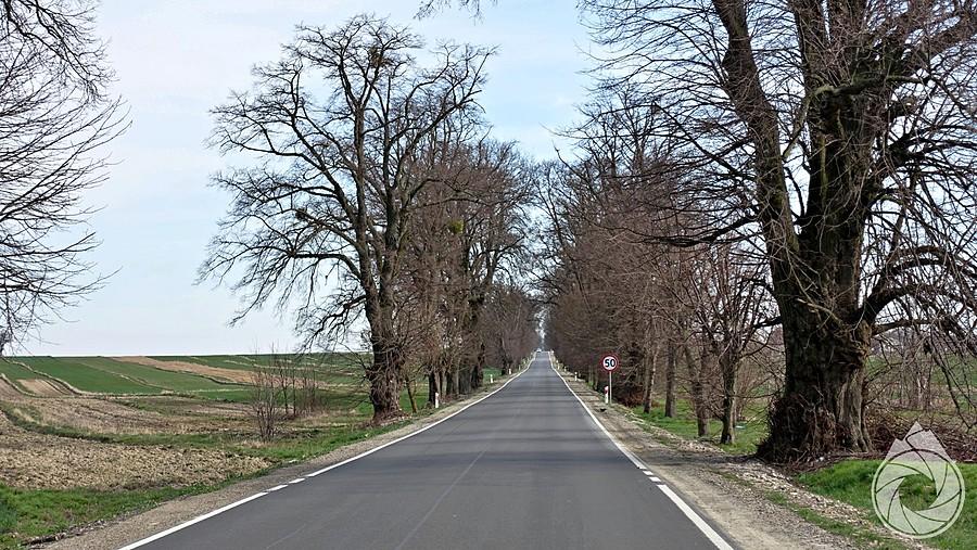 jeszcze gładkie asfalty na Cyców i Trawniki