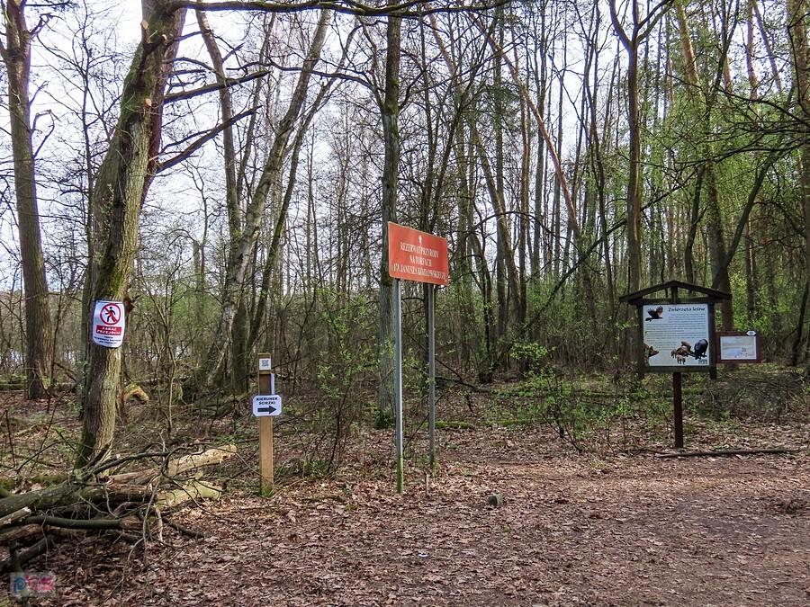 Rezerwat przyrody Na Torfach im. Janusza Kozłowskiego