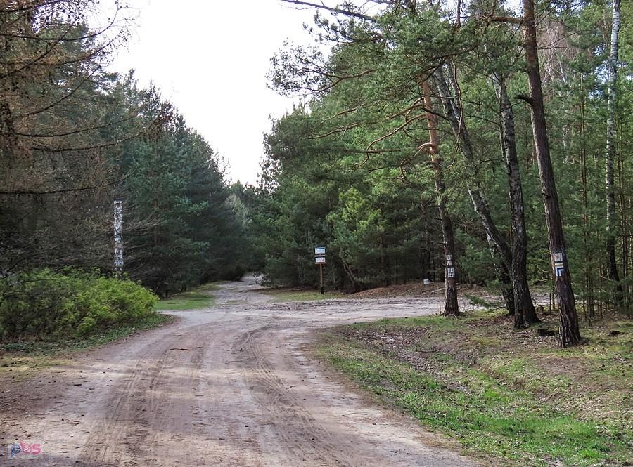 Piaszczyste drogi Lasów Otwockich