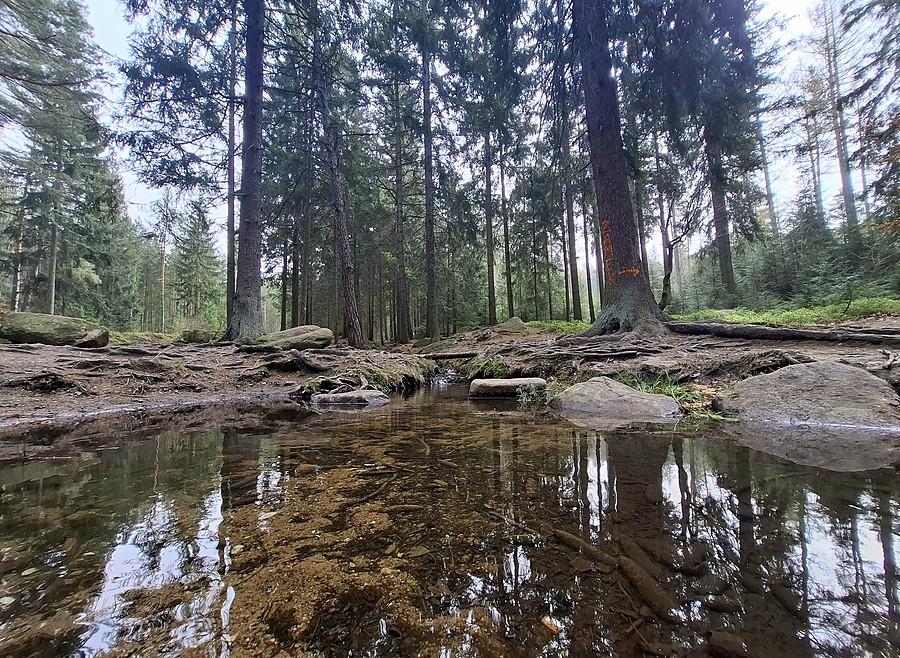 Górski strumień w Rudawach