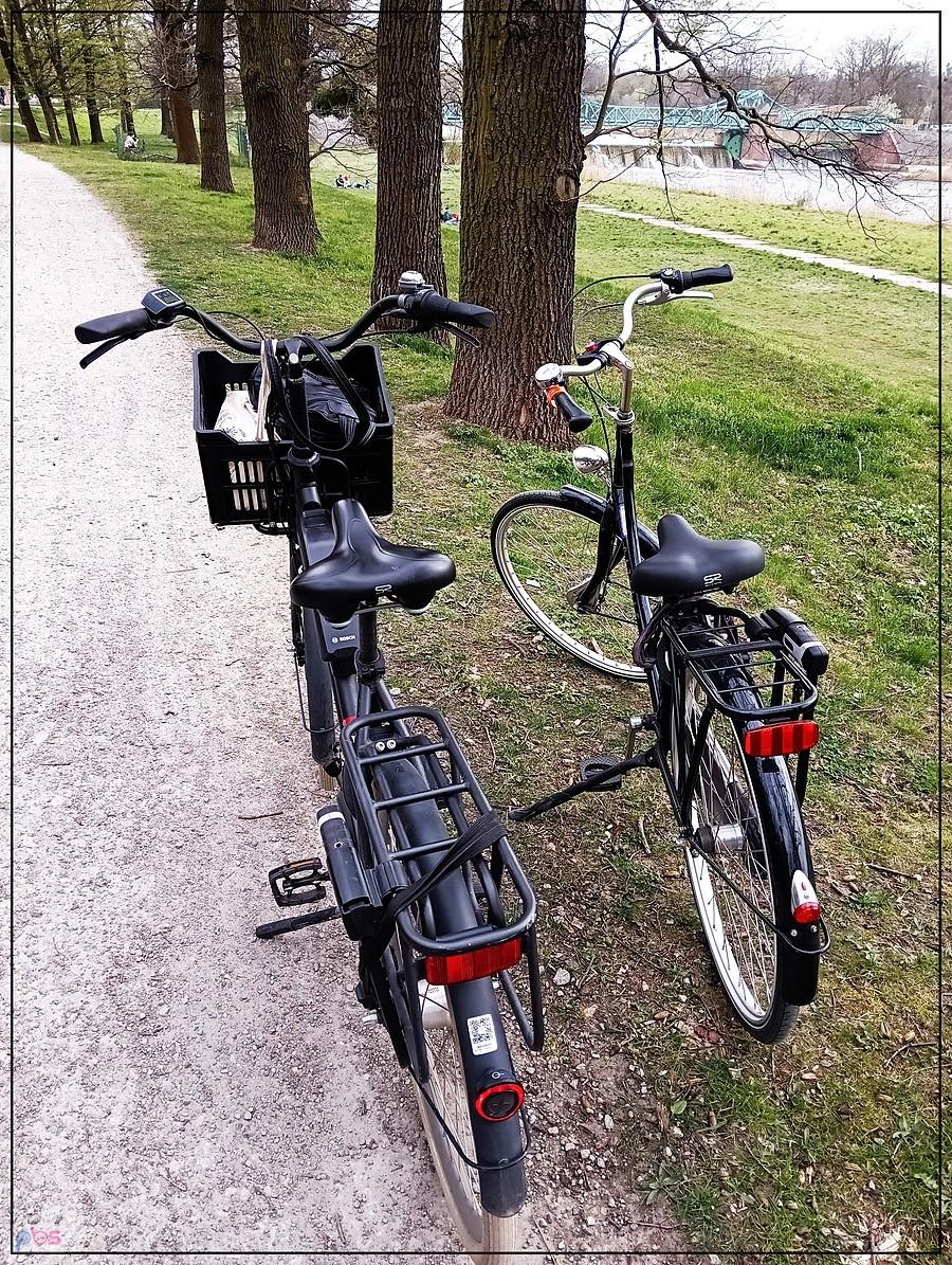 Batavus i Gazelle
