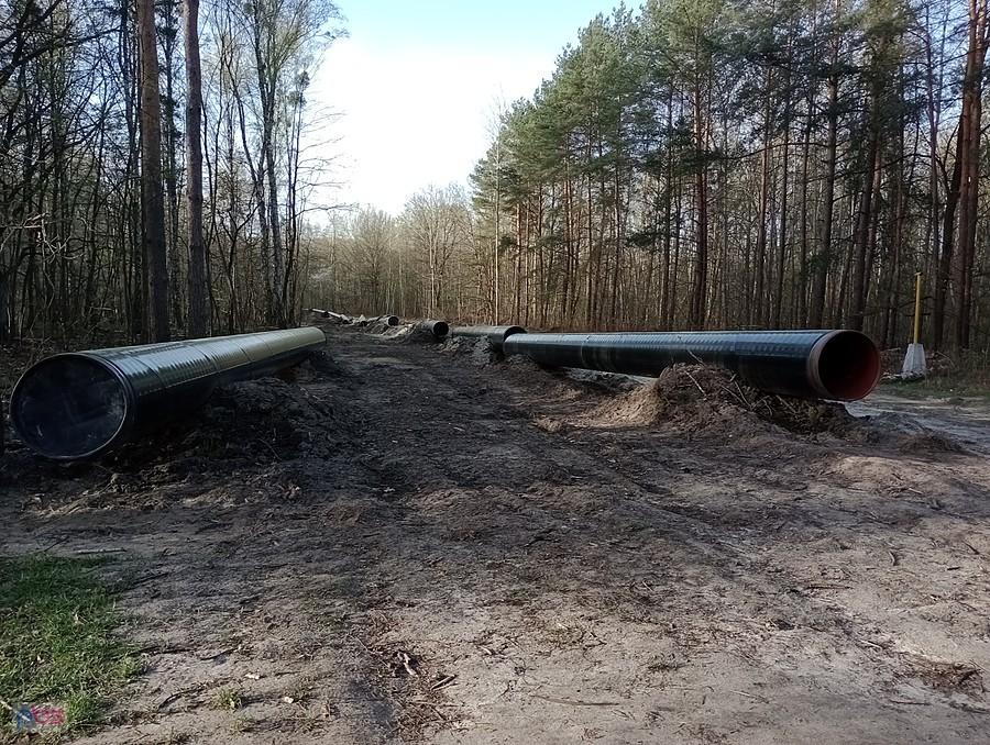 Budowa gazociągu przez las