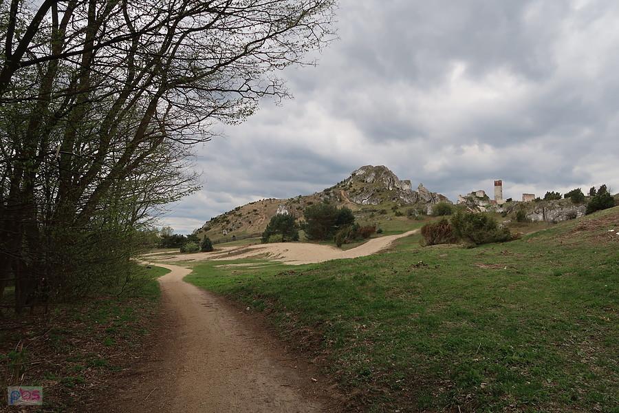 Widok na zamek