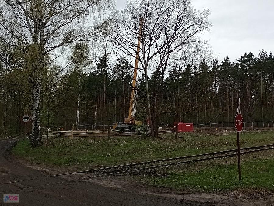 Budowa gazociągu przez las