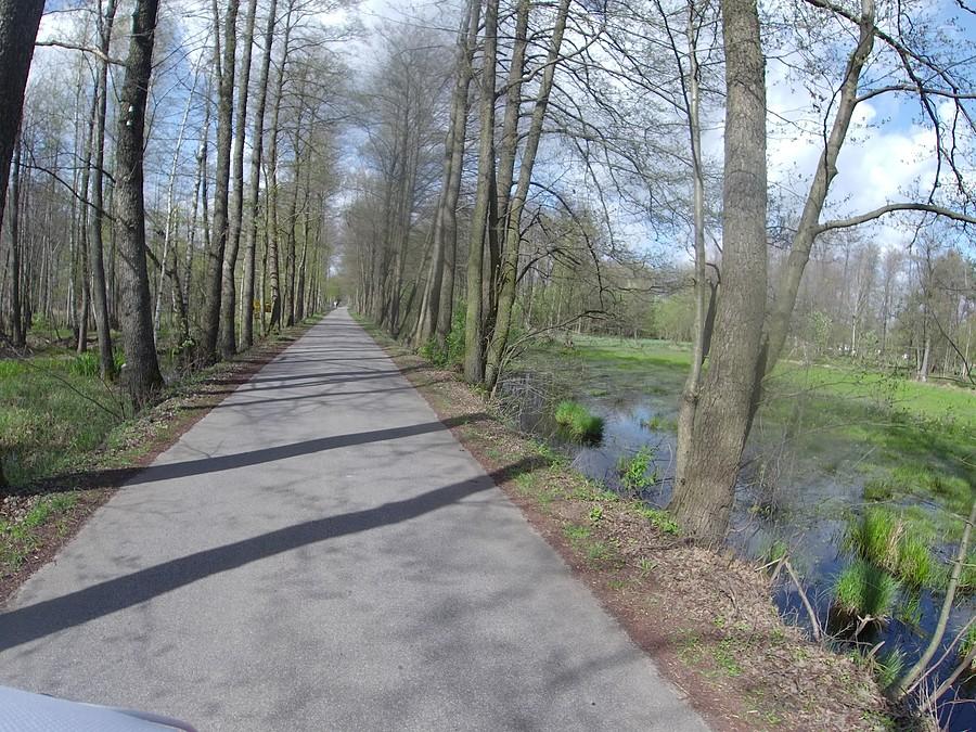 Kampinos, Wiersze