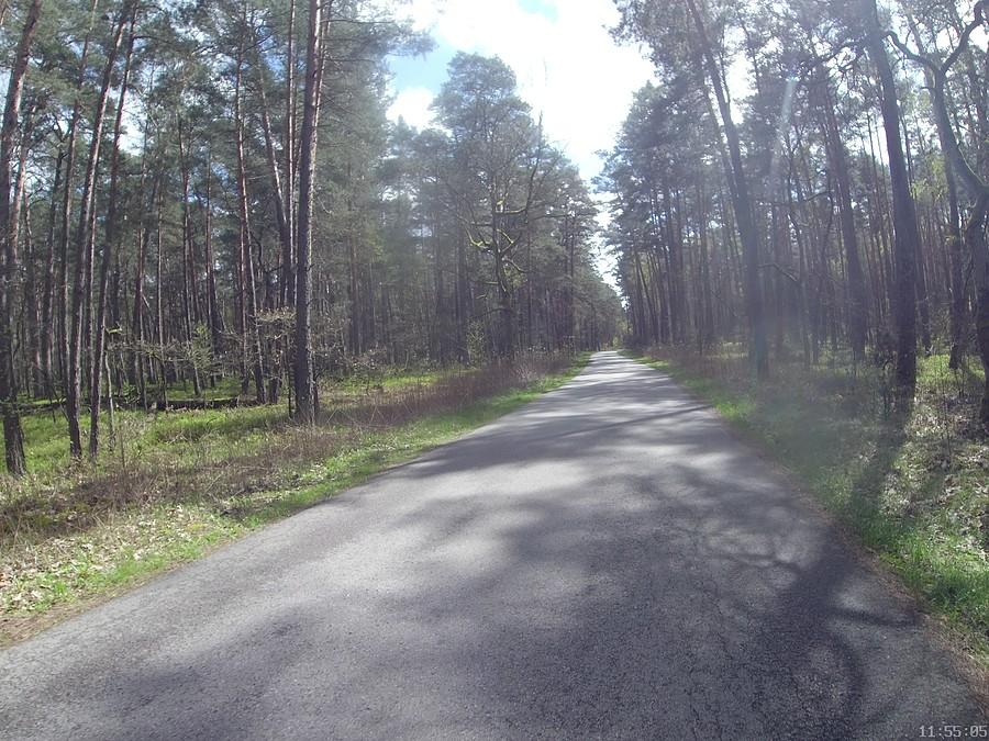 Przez puszczę, Górki