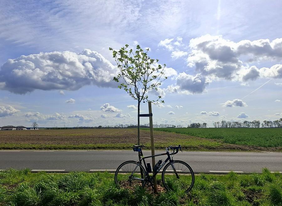 Sympatyczna rowerówka