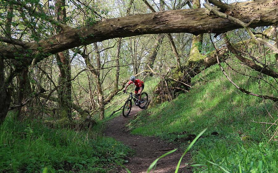 Rasowy biker w naturalnym środowisku MTB