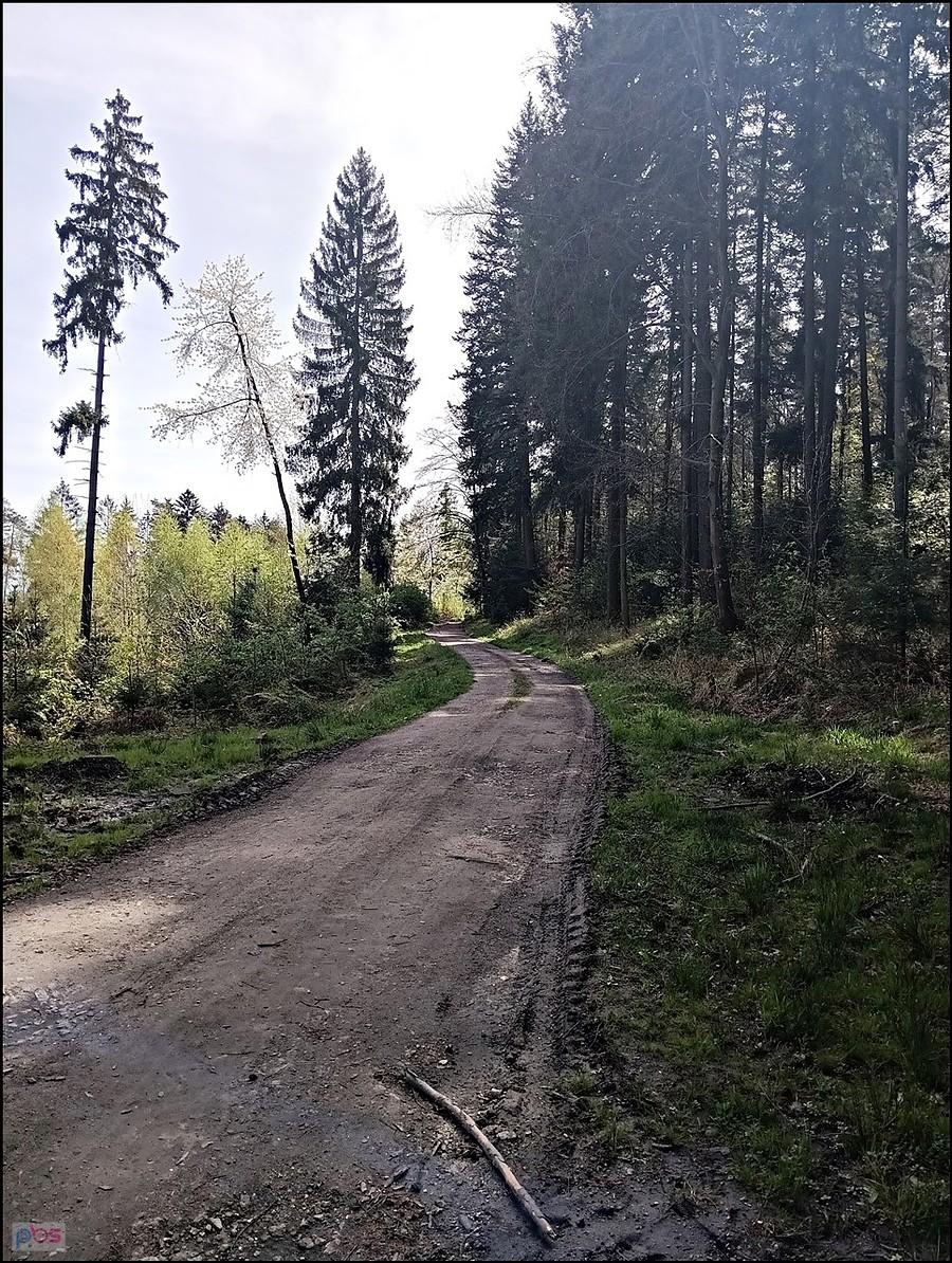 W kkierunku Przełęczy Tąpadła