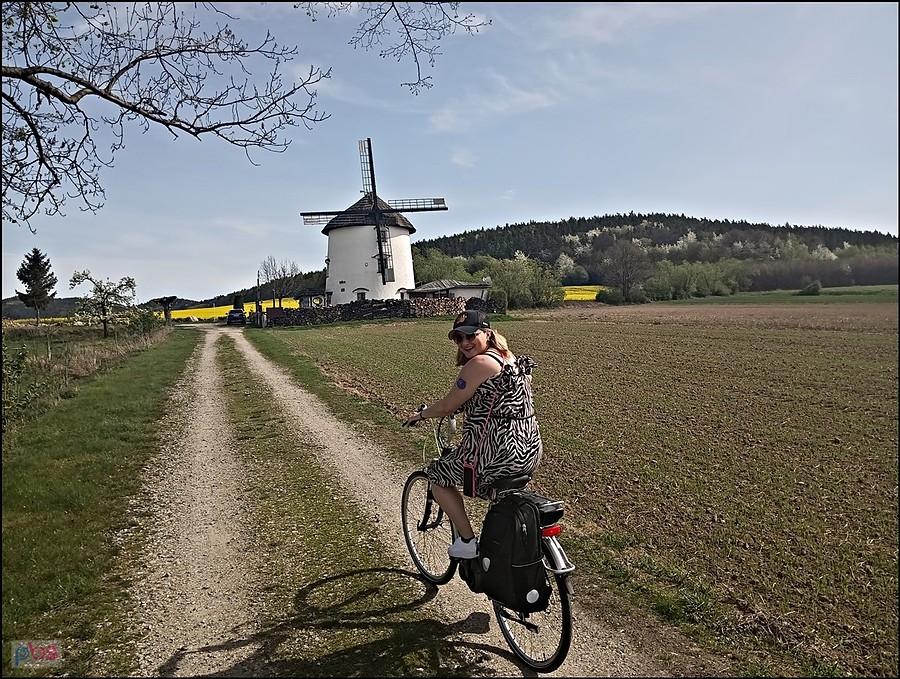 W kierunku wiatraka w Gogołowie