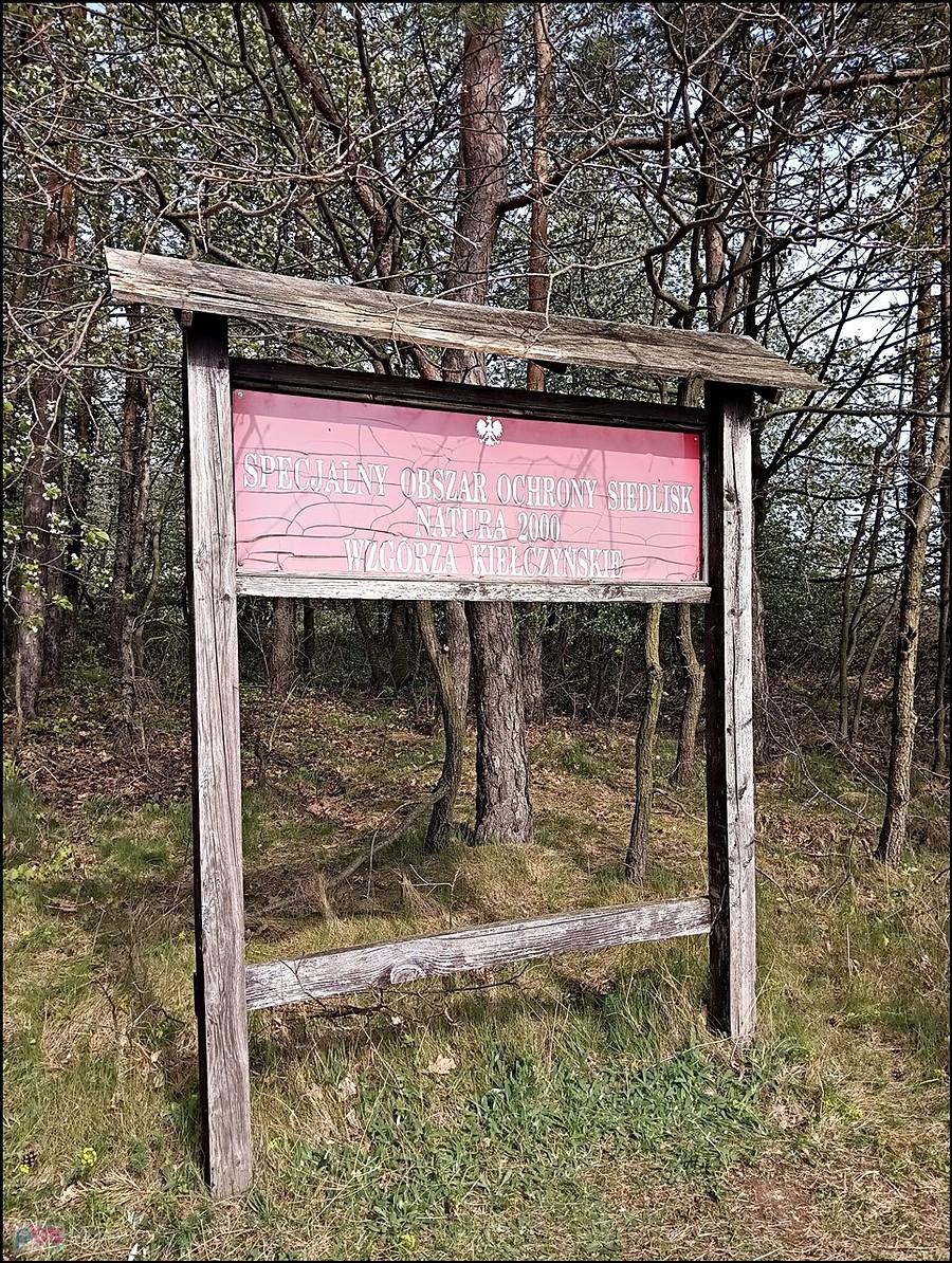 Wzgórza Kiełczyńskie