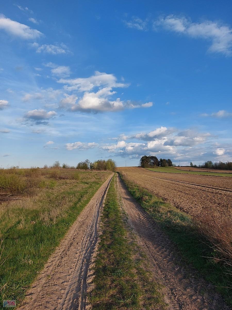 Ulica Cegielniana w Dąbrówce-Strumianach