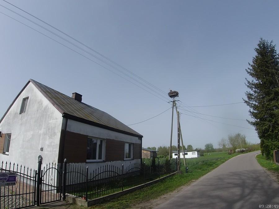 Pierwszy bocian