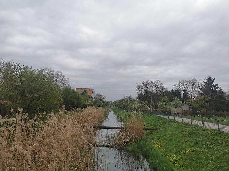 Kanał Wystawowy, Saska Kępa, Osiedla Międzynarodowa