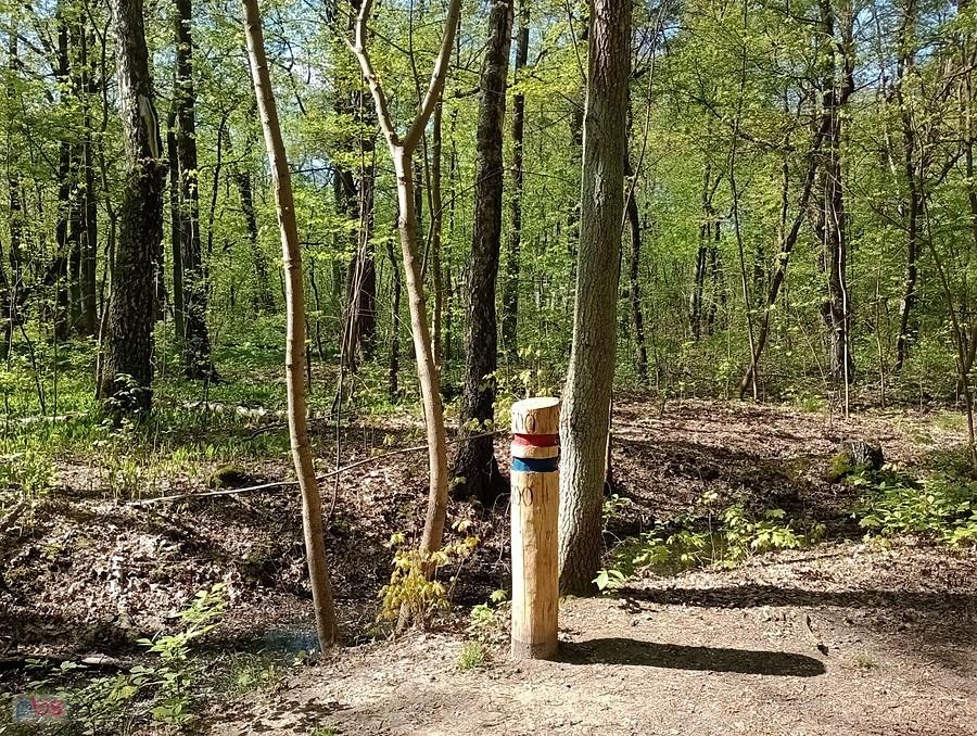 Kolejny tajemniczy słupek przy leśnej drodze