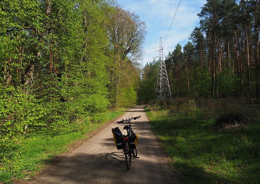 Zielona droga w stronę Połęcka