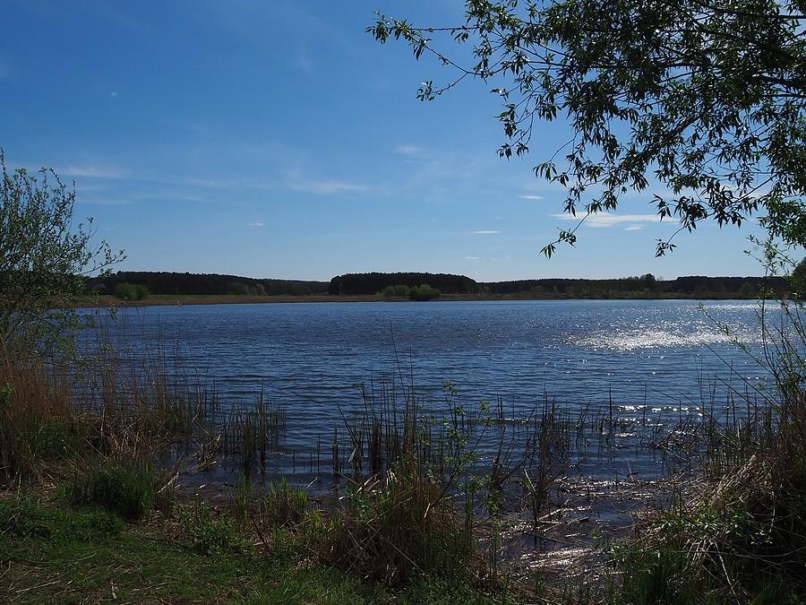Jeden ze Stawów Ośniańskich
