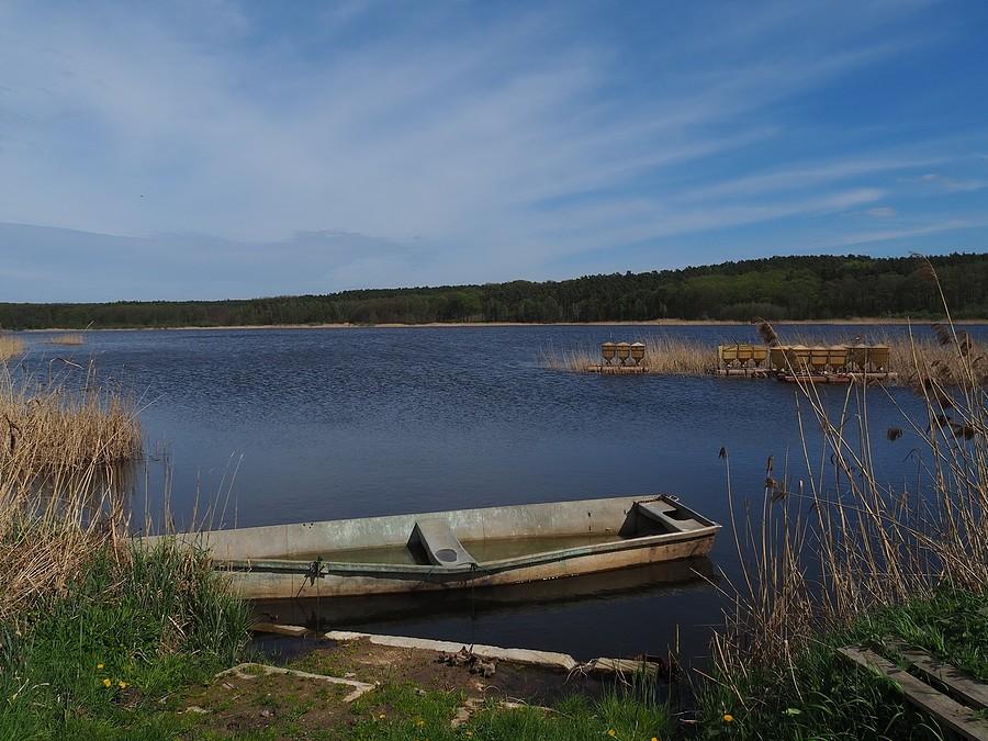 Stawy Ośniańskie