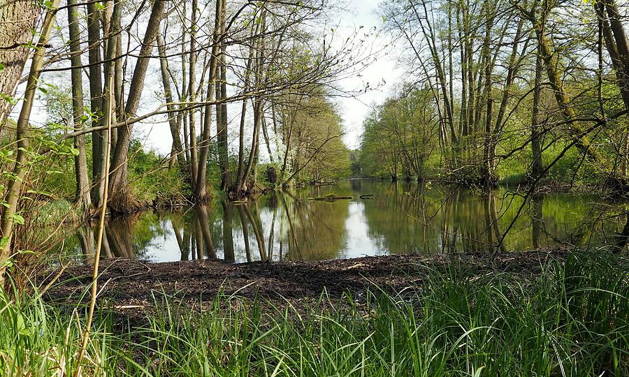 Jeden z kanałów fortecznych na Jeziornej
