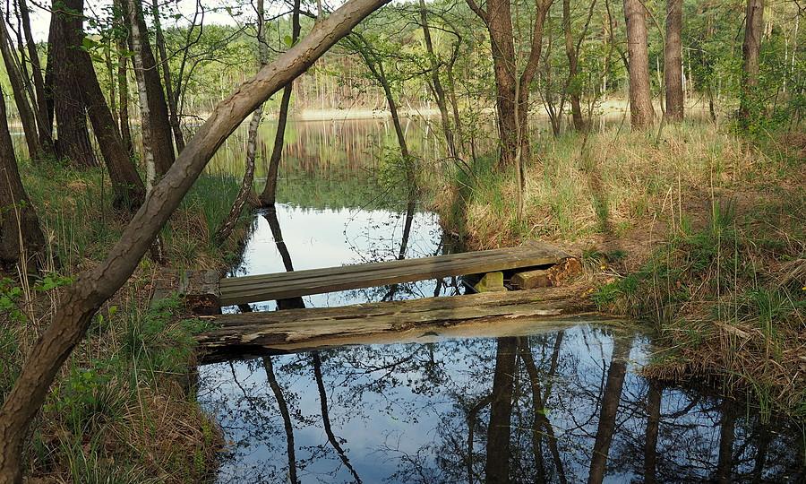 Jeden z przesmyków pomiędzy Jeziorkami Zamkowymi