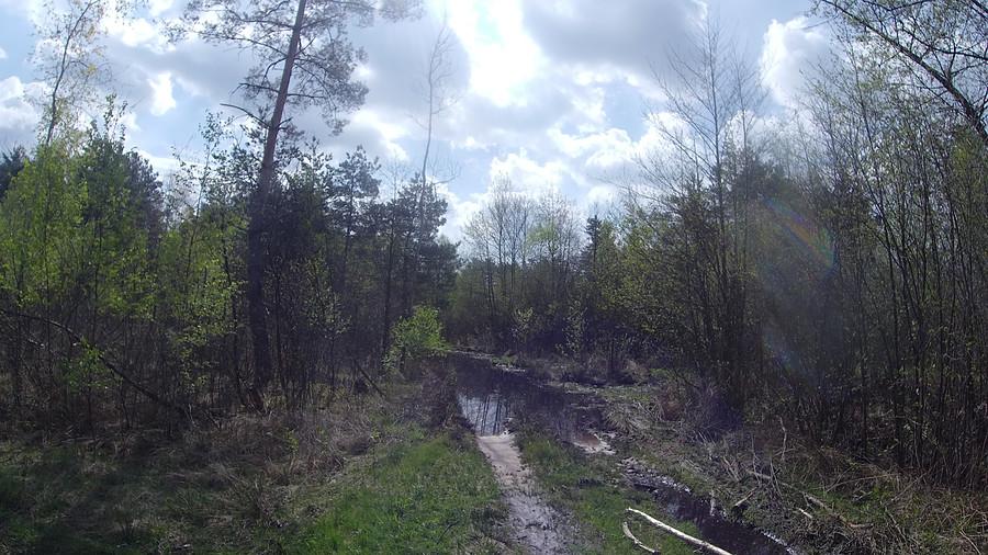 Tereny podmokłe