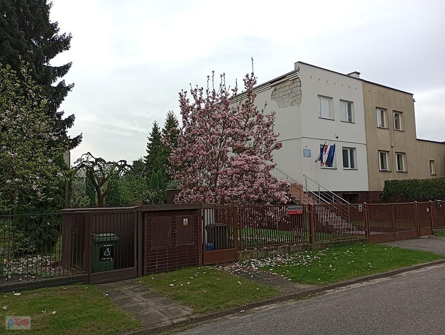 Magnolia na Grotach