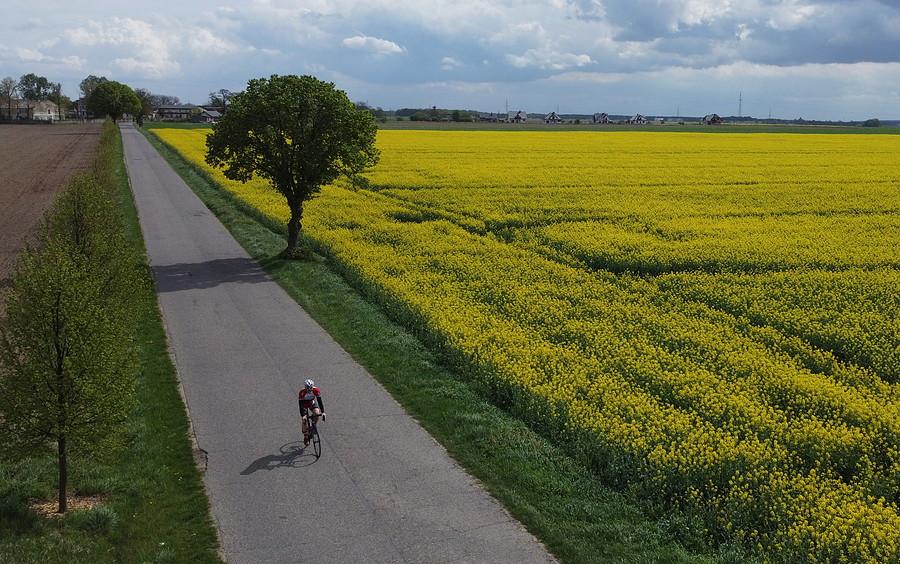 Rzepakowe ujęcie za Trzcielinem (by dron)
