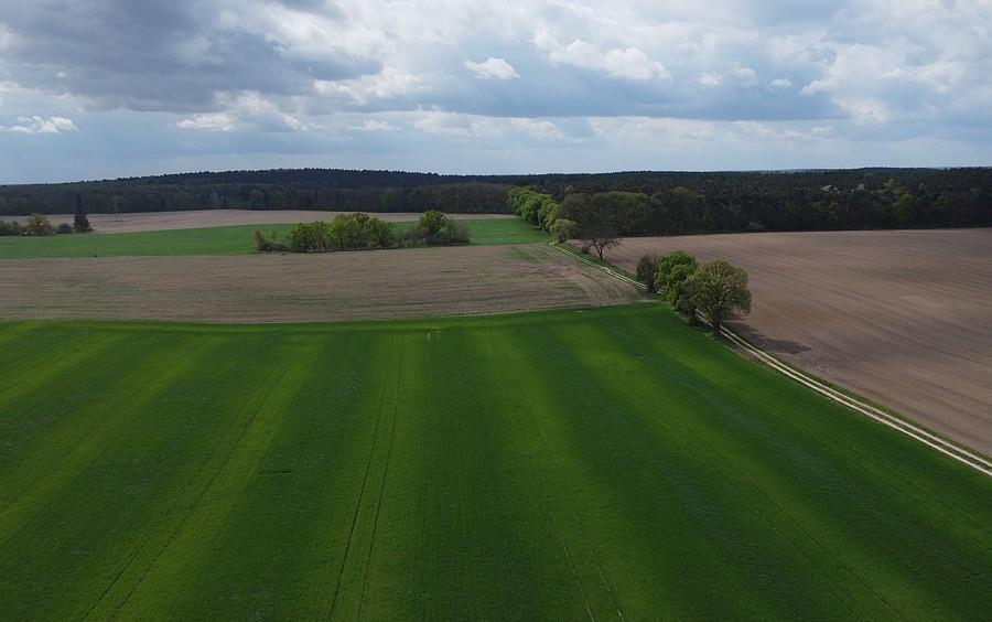 Polno - leśne klimaty