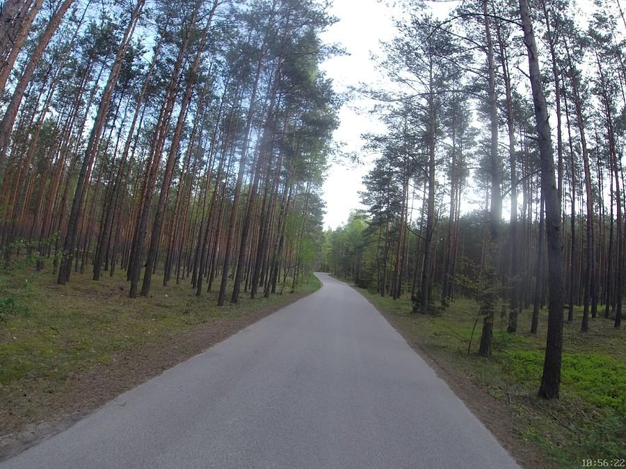 ... i lasów