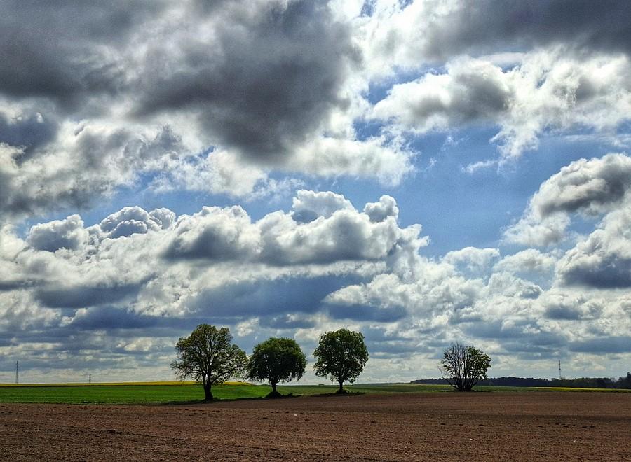 Świat chmur nad Lisówkami