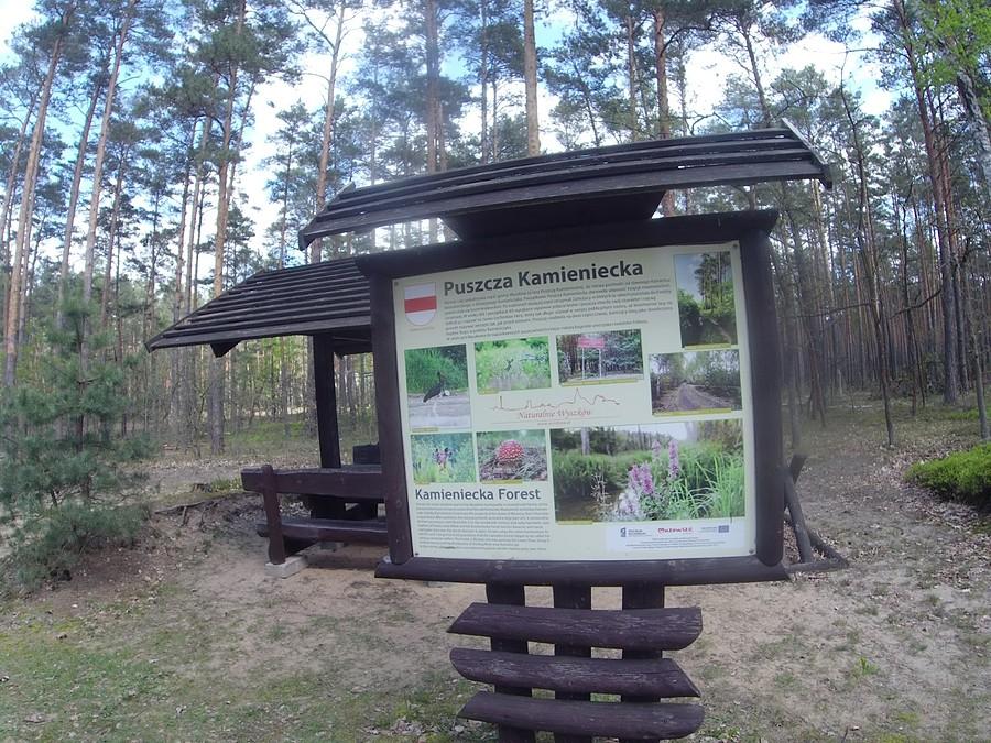 Puszcz Kamieniecka