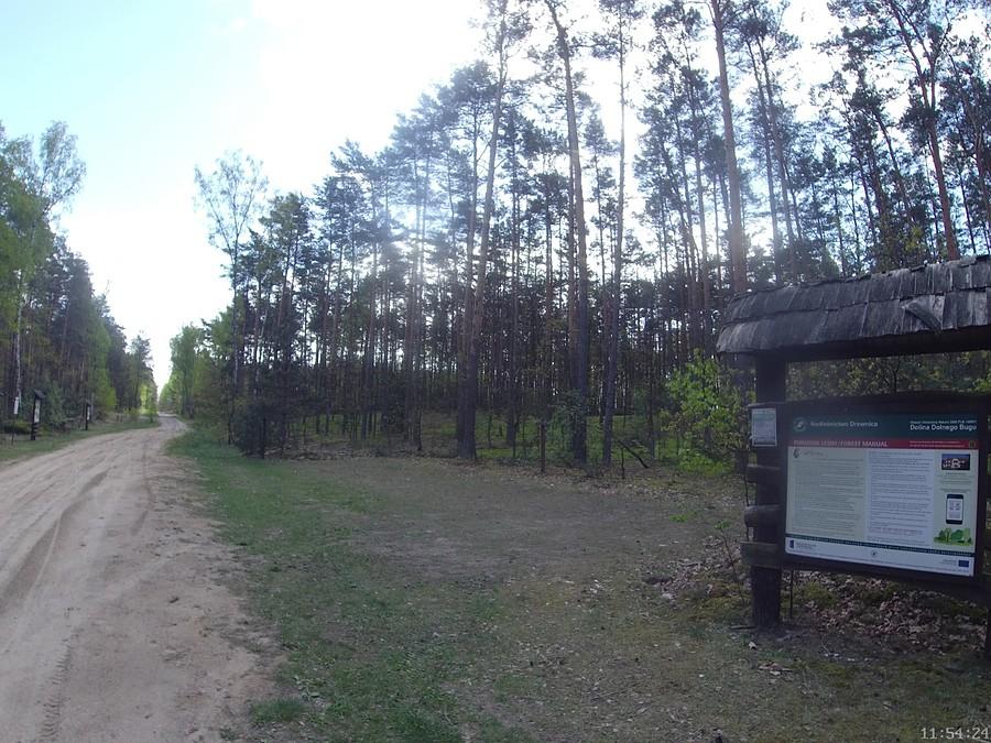 Dolina Dolnego Bugu